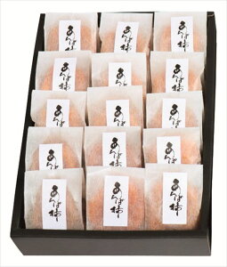  a̎RYۊ` S ΕMtg  Ε2025 䌩   OXC[c