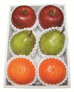  ӂAg܂ǂ&EtXl S ΕMtg  Ε2025 䌩   OXC[c