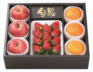  Aӂ&g܂ǂȋl S ΕMtg  Ε2025 䌩   OXC[c