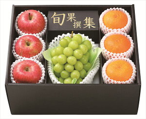  VC}XJbgAӂ&g܂ǂȋl S ΕMtg  Ε2025 䌩   OXC[c