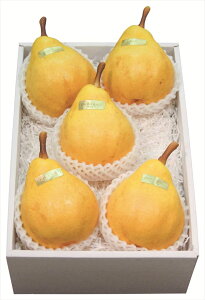  VYN`F S ΕMtg  Ε2025 䌩   OXC[c