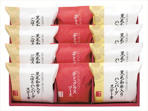  ` јano[OXe[Ll S ΕMtg  Ε2025 䌩   OXC[c