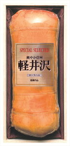  MBnXyVy򃍁[Xn SK-100 S ΕMtg  Ε2025 䌩   OXC[c