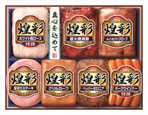  ۑHi ʃnMtg7{l MV-507 S ΕMtg  Ε2025 䌩   OXC[c