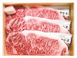  ꋍ ɌT[CXe[L S ΕMtg  Ε2025 䌩   OXC[c