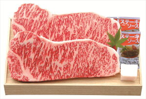  ߍ] T[CXe[Lp S ΕMtg  Ε2025 䌩   OXC[c