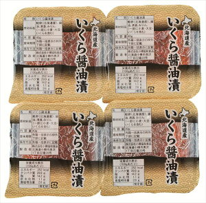  kCY ?Ђ S ΕMtg  Ε2025 䌩   OXC[c