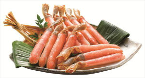  킢Ƀ|[V S ΕMtg  Ε2025 䌩   OXC[c