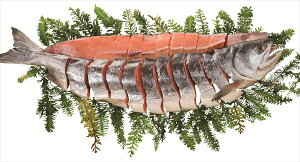  Y؂giRЂj P S ΕMtg  Ε2025 䌩   OXC[c