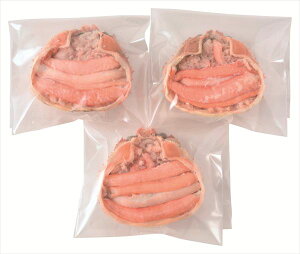  g킢ɍb S ΕMtg  Ε2025 䌩   OXC[c