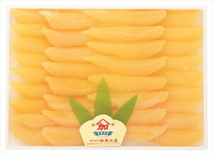  Y ̎q S ΕMtg  Ε2025 䌩   OXC[c