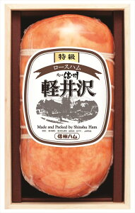  MBn u₩MBy򃍁[Xniؔj XO-50 S ΕMtg  Ε2025 䌩   OXC[c