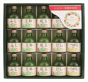  VCj[ Xiʂ񂲃Xg[gW[XMtg SY-A S ΕMtg  Ε2025 䌩   OXC[c