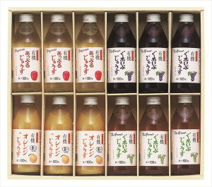  AvX I[KjbNW[XZbg CAU-12P S ΕMtg  Ε2025 䌩   OXC[c