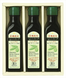  {I[u L@͔| GLXgo[WI[uIC S130-496 S ΕMtg  Ε2025 䌩   OXC[c