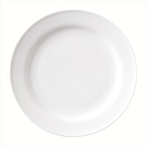 Rh 20cmCXM  19.7×H2.1cm H n엿 i З  AWA aH mH  ē  Ȃǂɂp܂