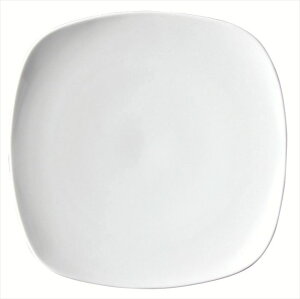 スクエアー SQ 15cm浅皿 磁器 15.4×2.3cm 食器 創作料理 一品料理 多国籍料理 器 アジアン料理 和食器 洋食器 居酒屋 焼肉 中華 などにご利用頂けます