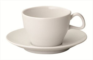 |`F ۃAJJbv  9.8×12×H6.6cmE250cc H n엿 i З  AWA aH mH  ē  Ȃǂɂp܂