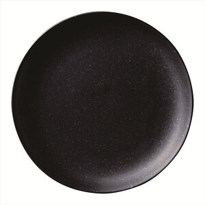 e 21cm^ʎM  21×H2.4cm H n엿 i З  AWA aH mH  ē  Ȃǂɂp܂