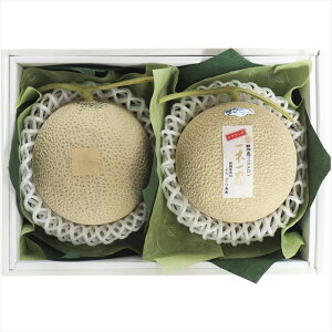  _Cʉ ׃ MSK-10RW S ΕMtg  Ε2025 䌩   OXC[c