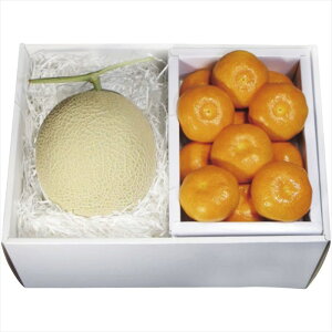  _Cʉ ݂l MAM-60RW S ΕMtg  Ε2025 䌩   OXC[c