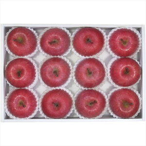  _Cʉ XY  AFR]65RW S ΕMtg  Ε2025 䌩   OXC[c