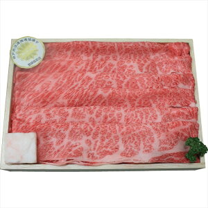  _ˋĂi[Xj 913545 S ΕMtg  Ε2025 䌩   OXC[c