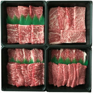  {Y aēꓪ 2088505050 S ΕMtg  Ε2025 䌩   OXC[c