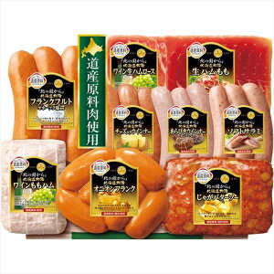  ۑHi wk̍x kCMtg HDS-50 S ΕMtg  Ε2025 䌩   OXC[c