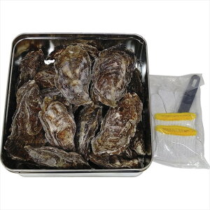  LƋgA LỹJJĂ H-KY16 S ΕMtg  Ε2025 䌩   OXC[c