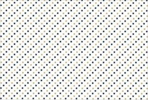 X^[()DX PʁF1܁i100j Ɩp Lb`pi ~[pi H  H n엿