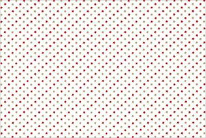 X^[(ԋ)DX PʁF1܁i100j Ɩp Lb`pi ~[pi H  H n엿