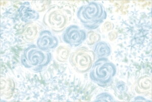 J KS PʁF1܁i100j Ɩp Lb`pi ~[pi H  H n엿