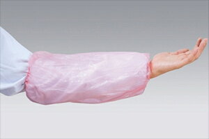 BL[RXJo[M-B123 sN PʁF1܁i50j Ɩp Lb`pi ~[pi H  H n엿