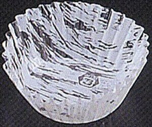 tBP[X_ 6F PʁF1{i500j Ɩp Lb`pi ~[pi H  H n엿