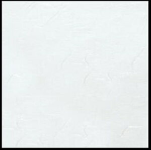 _ 5 PʁF1i200j Ɩp Lb`pi ~[pi H  H n엿