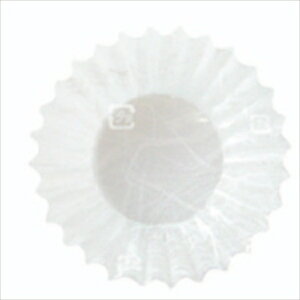 tBP[X PET 5F _ PʁF1{i500j Ɩp Lb`pi ~[pi H  H n엿