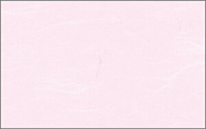 03233 PʁF1i100j Ɩp Lb`pi ~[pi H  H n엿