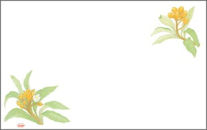 e[u}bg3@358@т PʁF1i100j Ɩp Lb`pi ~[pi H  H n엿