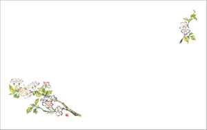 e[u}bg3207@R PʁF1i100j Ɩp Lb`pi ~[pi H  H n엿