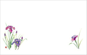 02183傤 PʁF1i100j Ɩp Lb`pi ~[pi H  H n엿