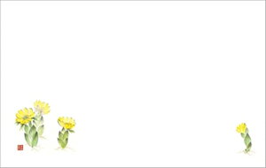 e[u}bg3229@ PʁF1i100j Ɩp Lb`pi ~[pi H  H n엿