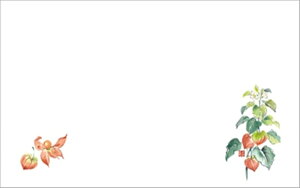 e[u}bg3233@ق PʁF1i100j Ɩp Lb`pi ~[pi H  H n엿