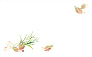 e[u}bg3237@݂傤 PʁF1i100j Ɩp Lb`pi ~[pi H  H n엿