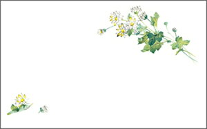 e[u}bg3254@e PʁF1i100j Ɩp Lb`pi ~[pi H  H n엿