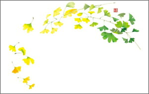 e[u}bg3255@傤 PʁF1i100j Ɩp Lb`pi ~[pi H  H n엿