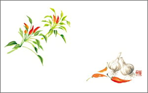 e[u}bg3265@炵Ƃɂɂ PʁF1i100j Ɩp Lb`pi ~[pi H  H n엿