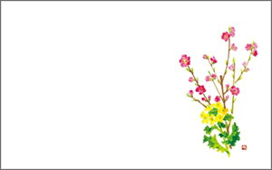 e[u}bg3298@ƍ؂̉ PʁF1i100j Ɩp Lb`pi ~[pi H  H n엿