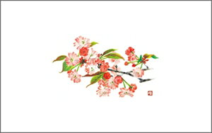 e[u}bg3300@d PʁF1i100j Ɩp Lb`pi ~[pi H  H n엿