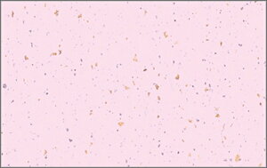 e[u}bg3305@V̐ij PʁF1i100j Ɩp Lb`pi ~[pi H  H n엿